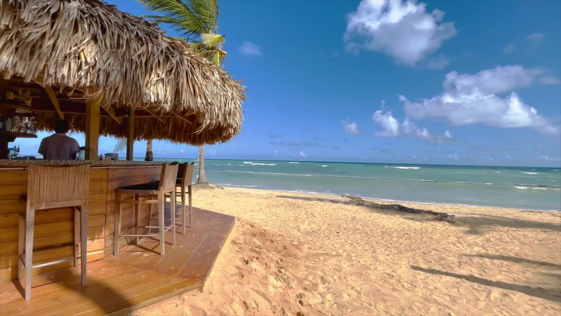 A promotional video showing the buildings, besen and service at Beach Apartamentos at Playa Palmera Beach Resort. 
